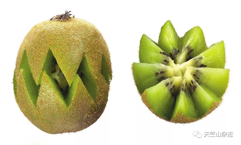 山珍美味,山珍美味简介