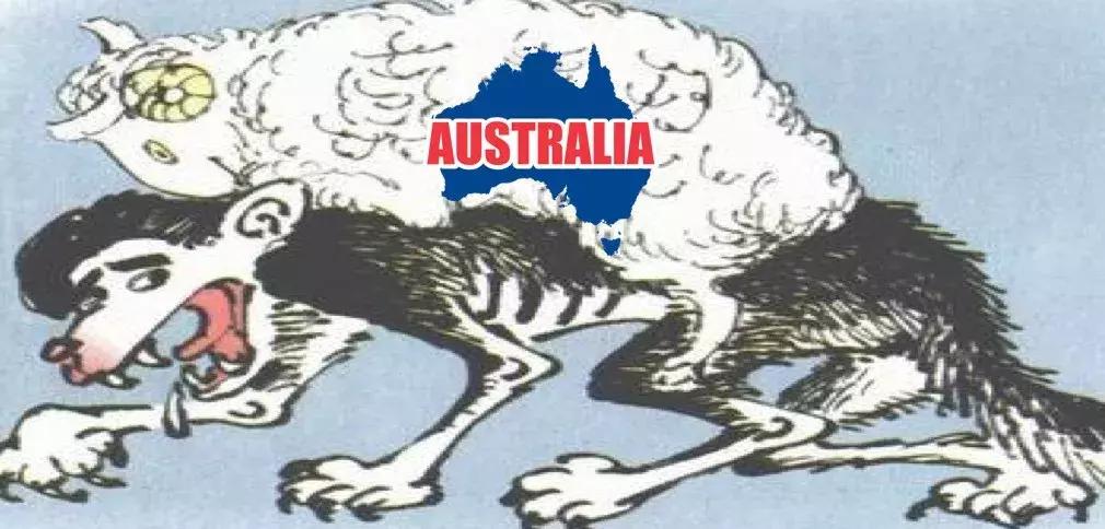 澳大利亚ax奶粉怎么样,澳大利亚奶粉是假的吗