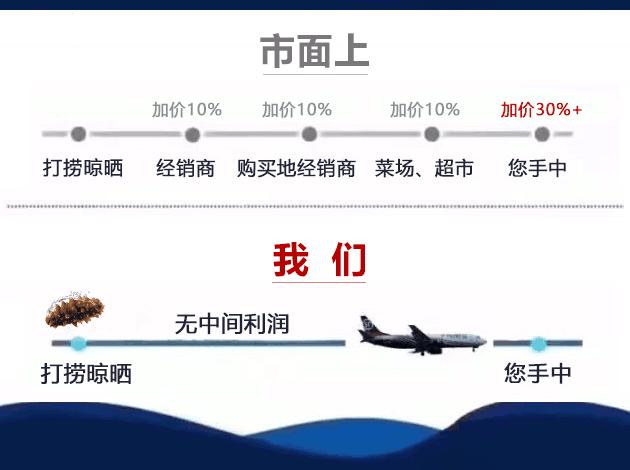 想要有滋补作用的海参要掌握三点,滋补身体用哪种海参比较好