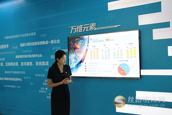 甘肃万维,大数据精准扶贫工作汇报