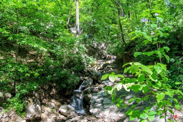 抚顺深度游攻略游记,抚顺旅游攻略自由行