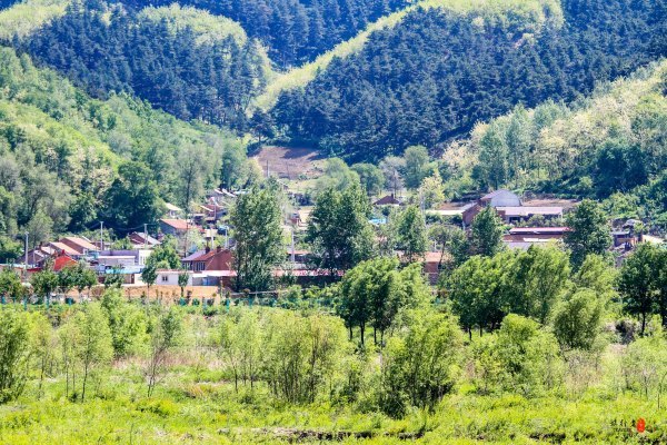 抚顺攻略,抚顺深度游攻略游记