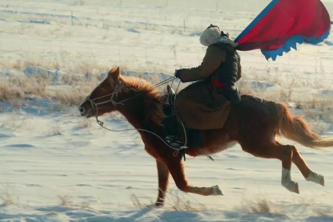 党项和西夏是一回事吗,西夏党项最后的结果