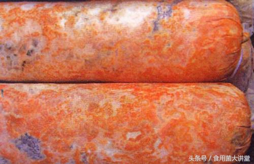 食用菌工厂化生产污染最祸首链孢霉，看是如何预防和治疗，你咋看