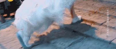 王菲最近有什么综艺,王菲访谈节目有哪些