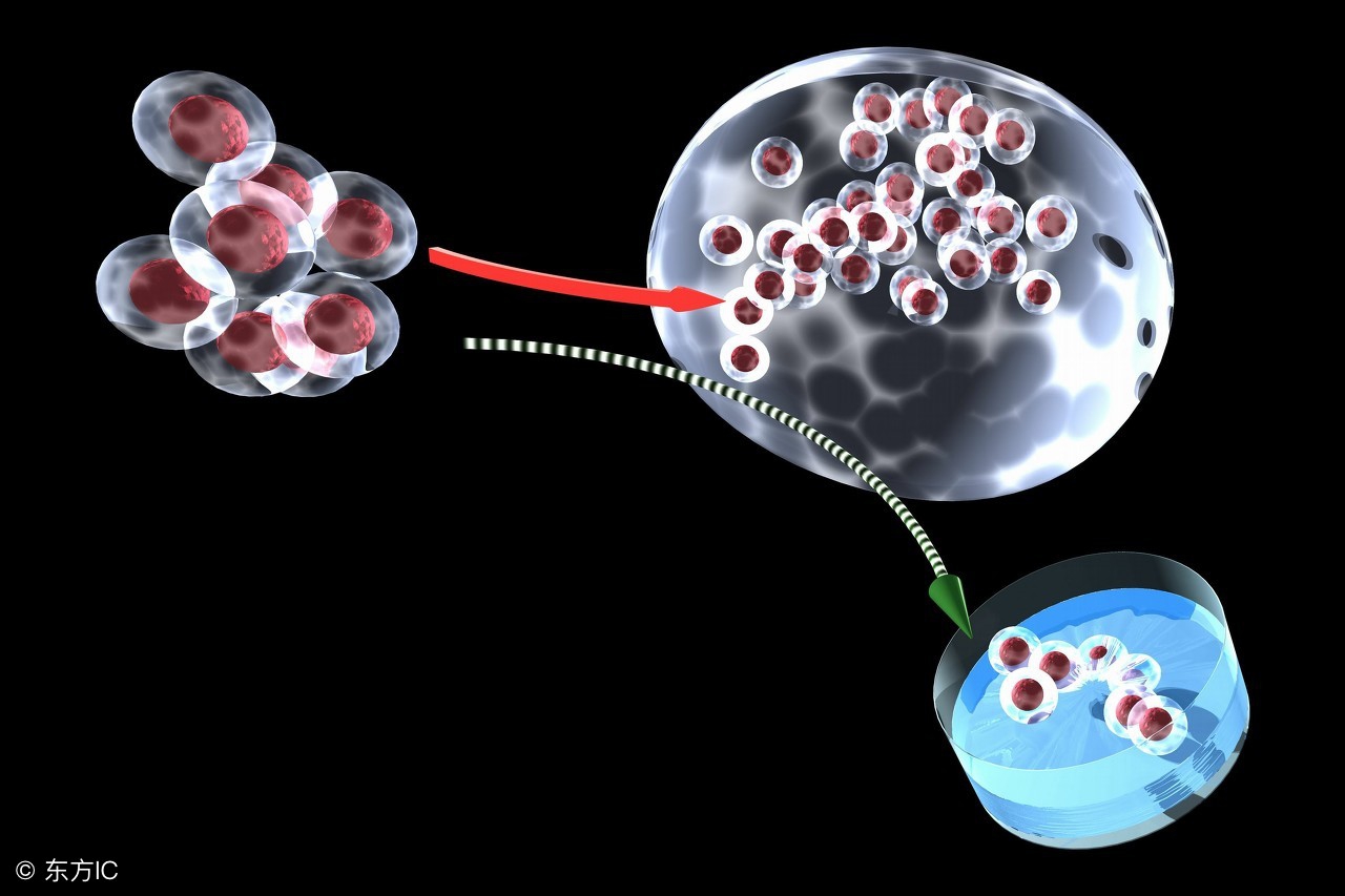 细胞储存费用,储存细胞费用高就很安全吗