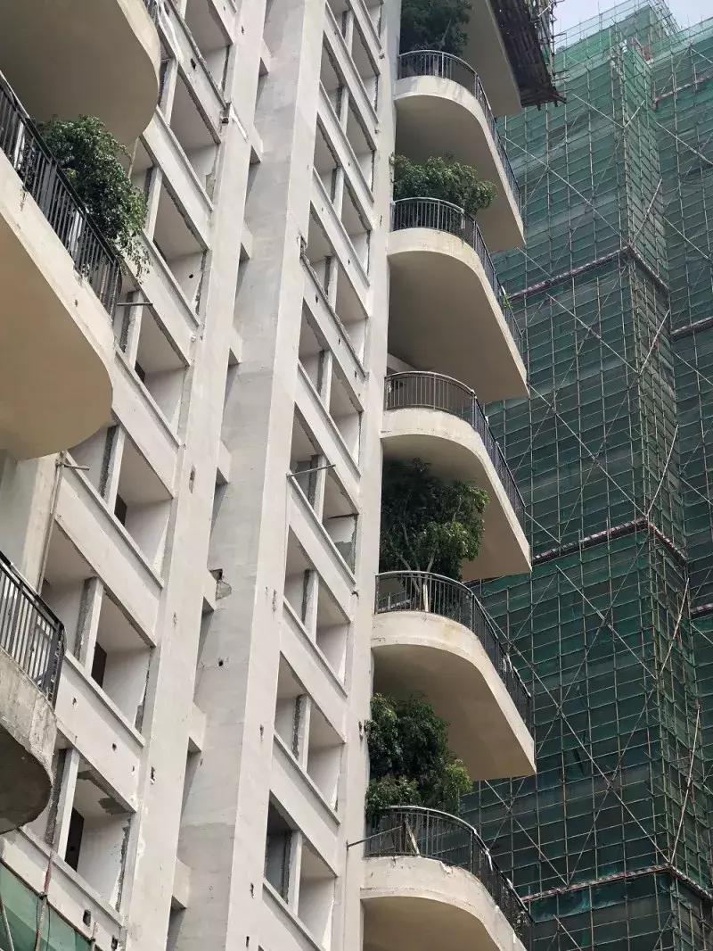 得了吧！除了瞎嚷嚷，你根本不懂什么是城市森林花园