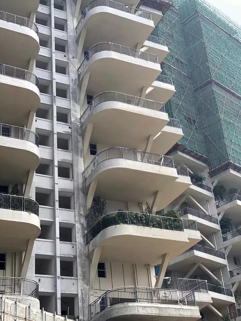 得了吧！除了瞎嚷嚷，你根本不懂什么是城市森林花园