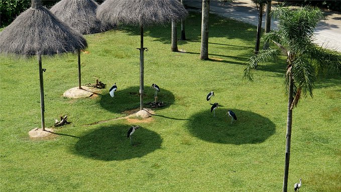 带小孩去长隆欢乐世界畅玩一天,暑假带娃去广州长隆野生动物世界