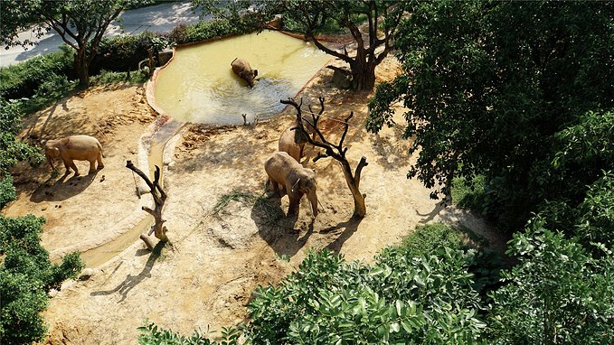 带小孩去长隆欢乐世界畅玩一天,暑假带娃去广州长隆野生动物世界