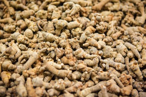 止血散瘀的中药有哪些,中药学笔记活血祛瘀药列表