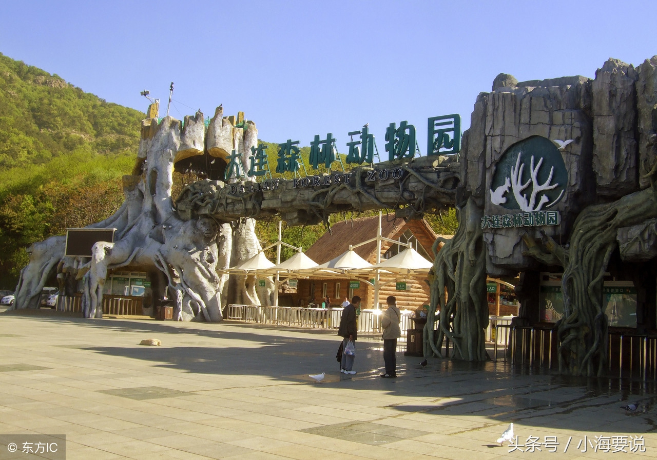 大连下午去哪里玩最合适,大连游玩几天够