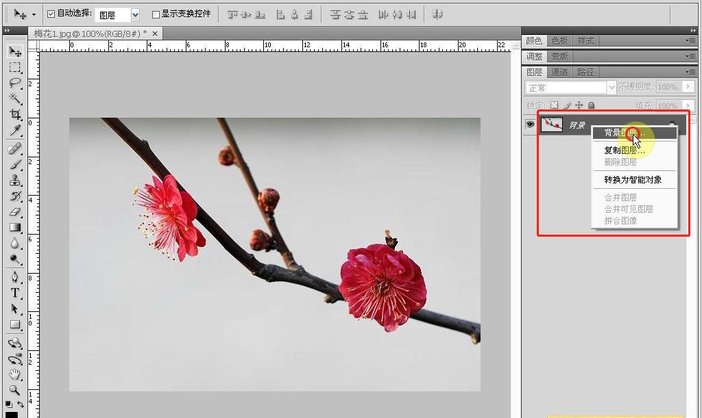 ps小白入门教程零基础抠图,ps小白入门基础教学导入图片