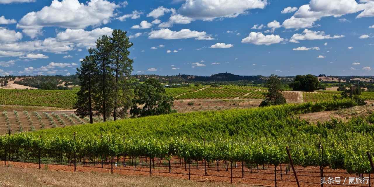 畅游加州：12个酒乡目的地，爱酒的你一定可以找到最适合你的酒乡