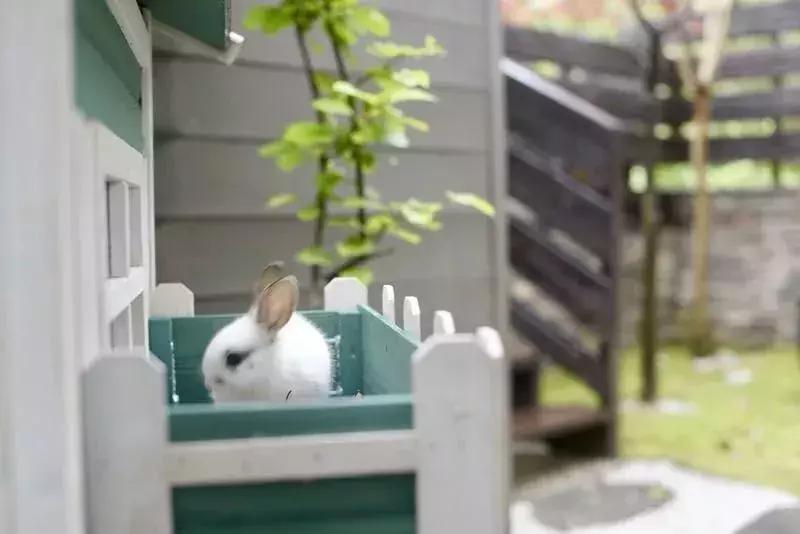 海岛避暑亲子游好去处,亲子夏日度假之旅