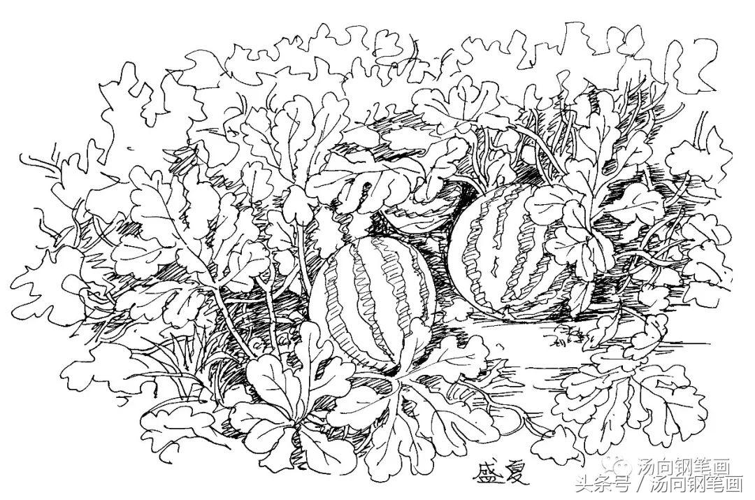 入门宝典115素描纸是用于画速写是很好的选择