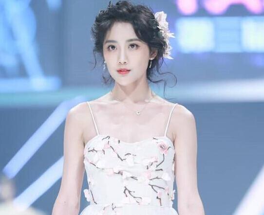 snh48总选登顶意味着什么,snh48总选投票能不能提前查看票数