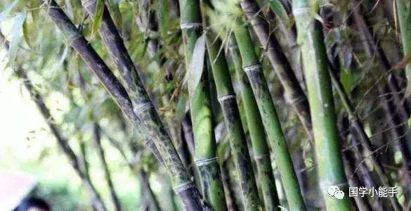 娥皇女英是什么民间故事,娥皇女英的民间故事