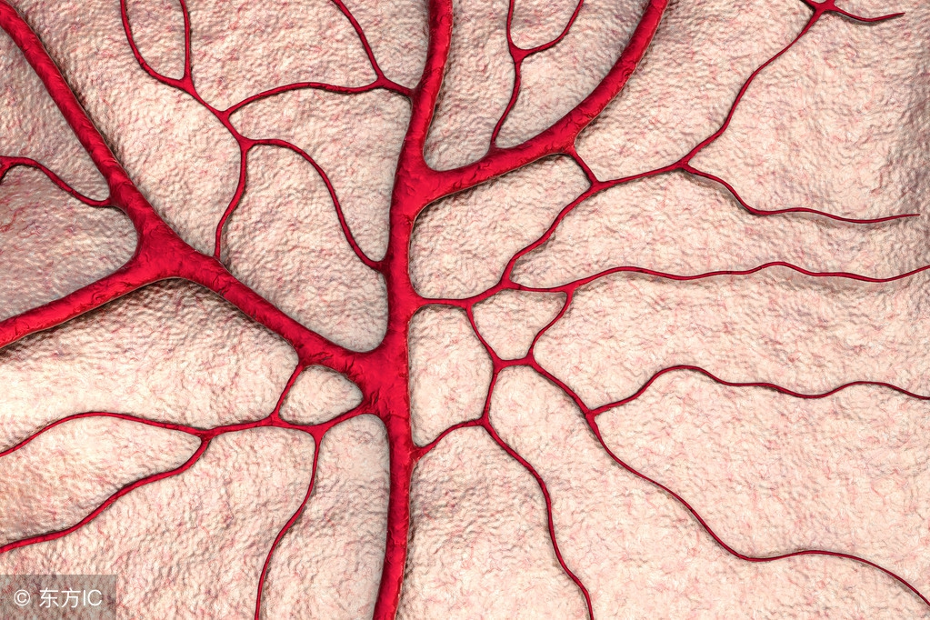 医生提醒看远处保护视力,医生眼里的眩晕是什么感觉