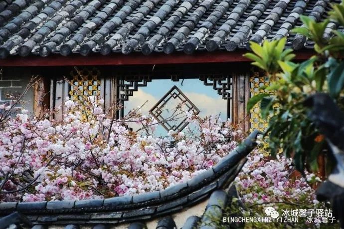 为什么要去大理才算爱得认真,为什么要去丽江古城旅游