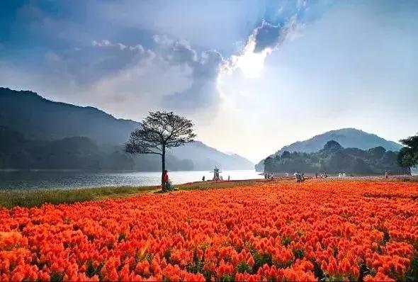 对不起，我劝你千万别去从化，不然会后悔……