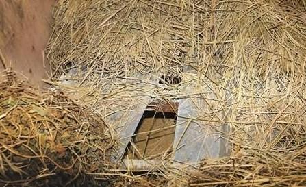 十大变态大案纪实,中国十大变态大案纪实全集