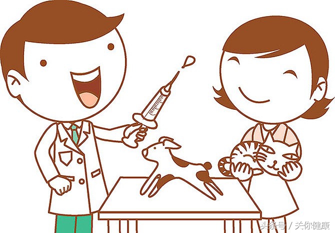 弓形虫是细菌感染吗,弓形虫是寄生虫吗