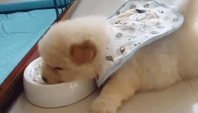 护肤的正确步骤顺序水乳液精华,先涂防晒还是隔离护肤的正确步骤