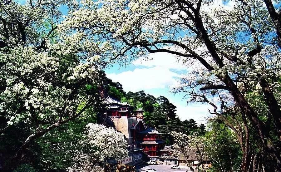 陈起海诗词,陈起海的朗诵诗歌