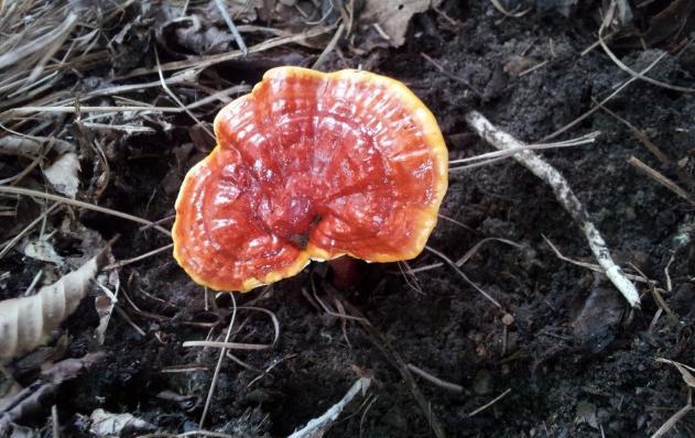 周公解梦：梦到这些场景，预示你将要过上富裕生活，令人羡慕！