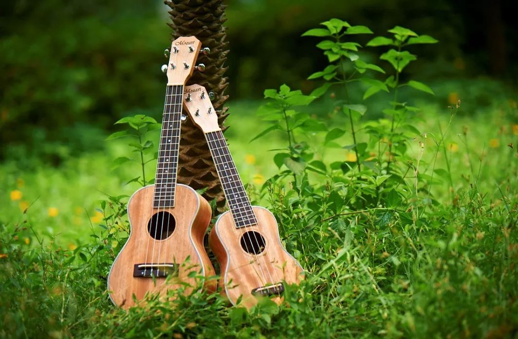 ukulele教程,ukulele初学入门