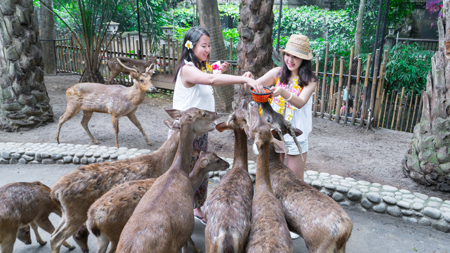 去巴厘岛跟团好不好,巴厘岛跟团游最佳攻略