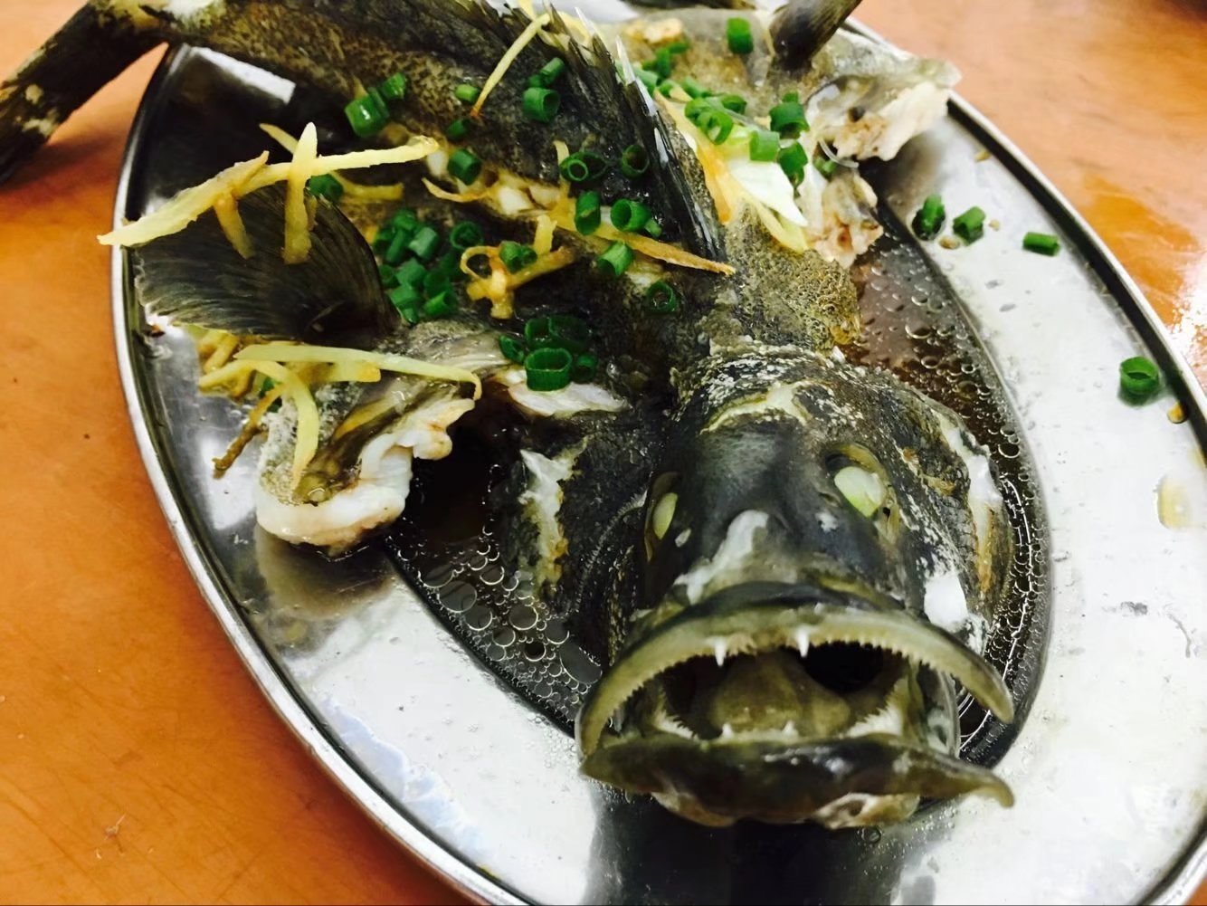 海口到三亚旅行攻略,三亚凤凰岛旅行攻略