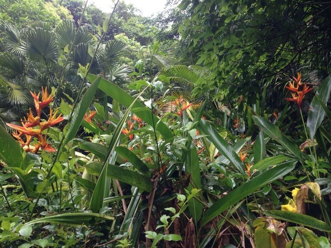 海口到三亚旅行攻略,三亚凤凰岛旅行攻略