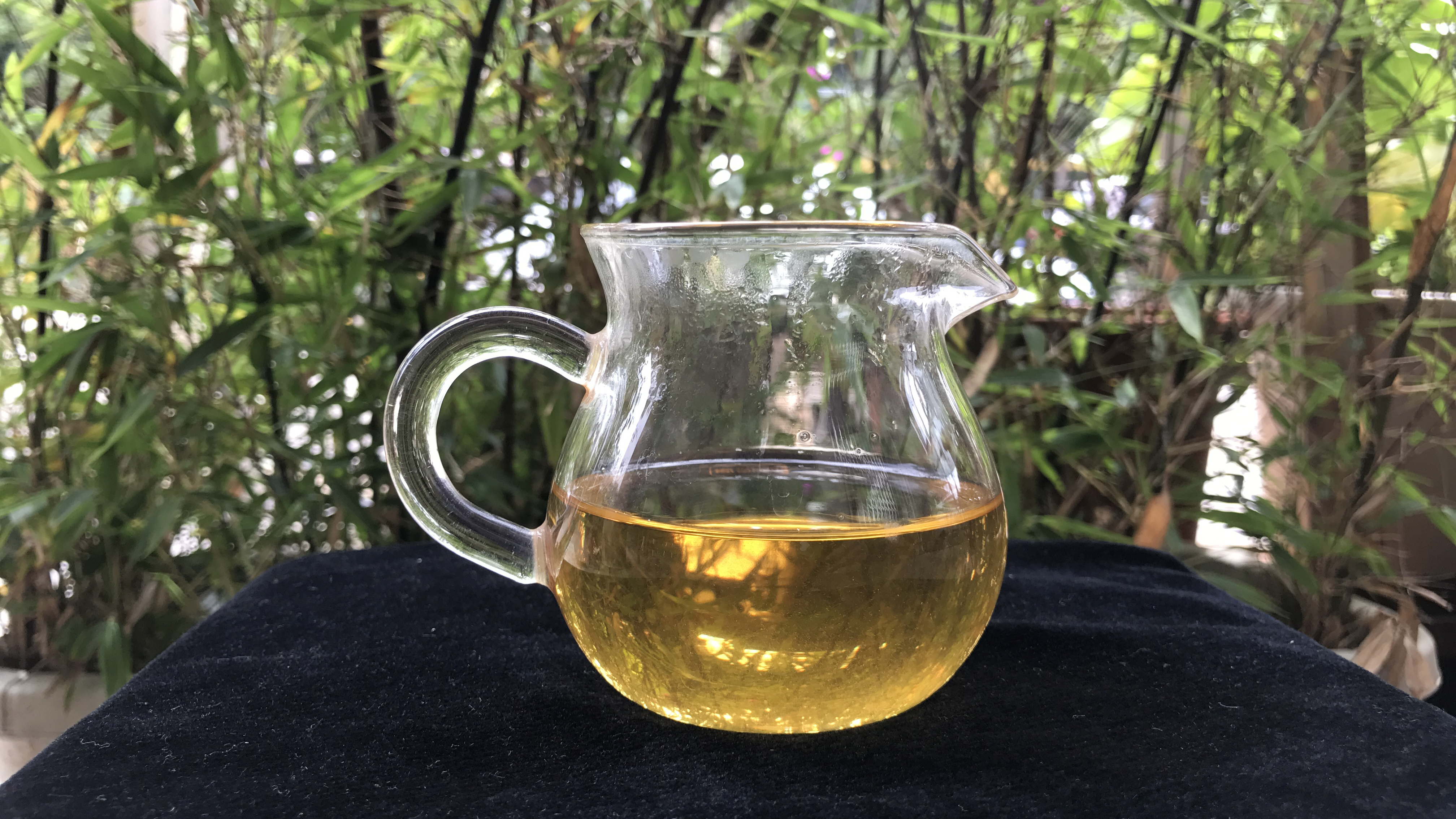 老徐鉴茶第173期,老徐鉴茶252期