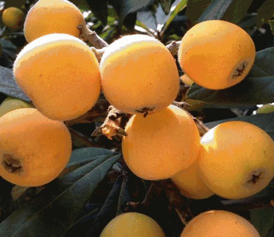 夏季感觉有感冒的征兆如何预防,夏天喝什么汤可以预防感冒