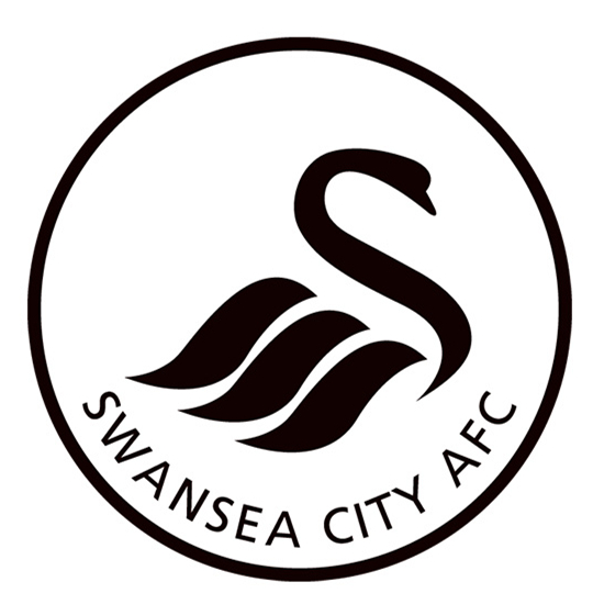 新赛季战队标志怎么显示,英超新赛季球队队徽