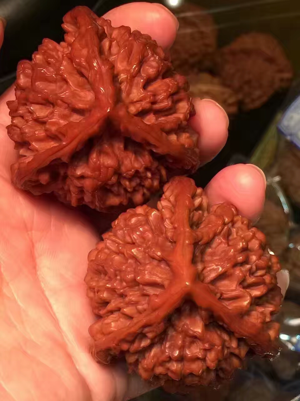 择一人终老足矣,择一人终老弃一城