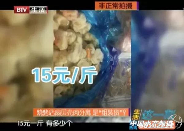 贝壳怎么验真,贝壳有造假的吗