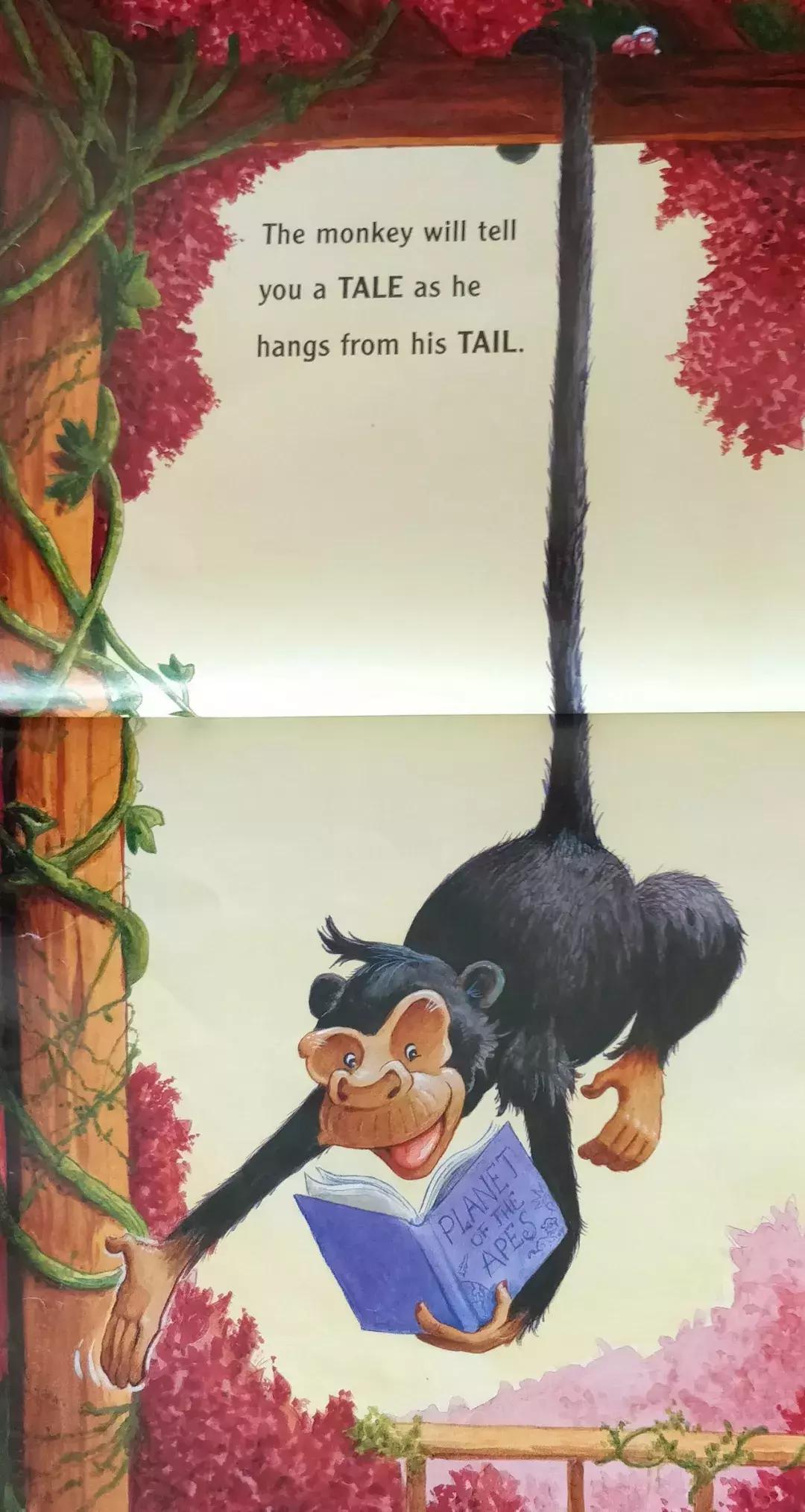 英语单词有声绘本故事,英文有声点读绘本大全