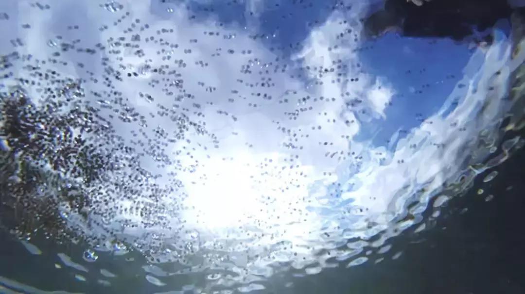 夏季鱼塘鱼都死了怎么办,下雨时鱼塘怎么管理鱼多