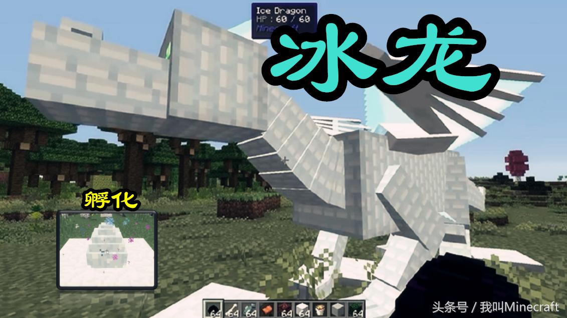我的世界经典模式龙蛋可以孵化吗,我的世界普通龙蛋该怎么孵化