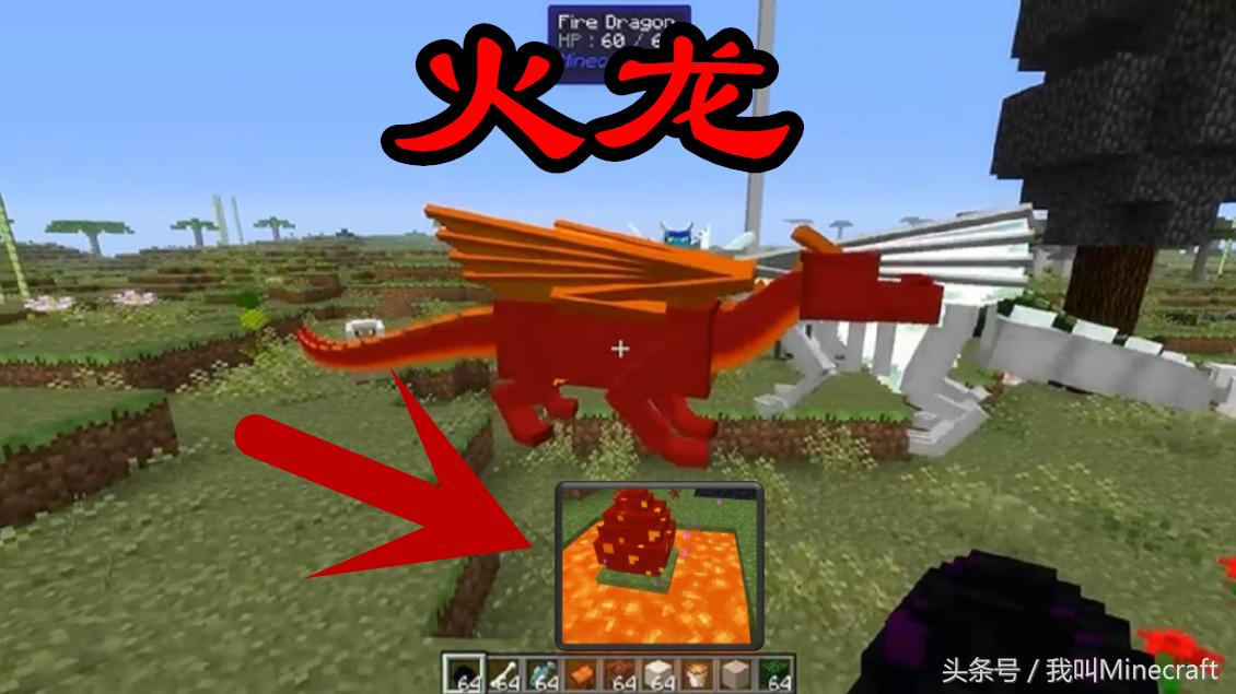 我的世界经典模式龙蛋可以孵化吗,我的世界普通龙蛋该怎么孵化