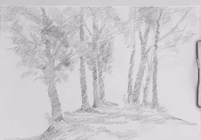 春天的美景素描,手把手教画风景