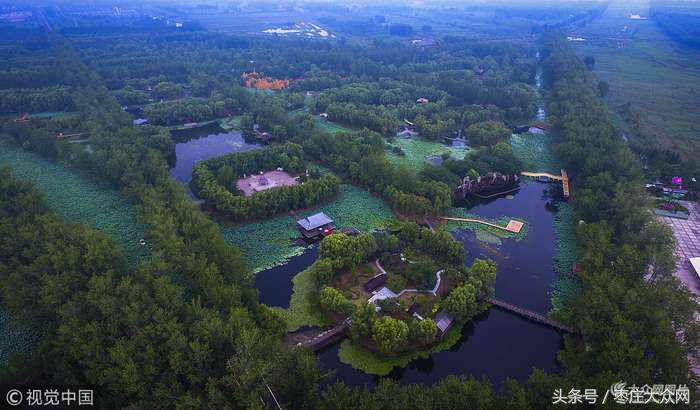 滕州微山湖红荷湿地摄影攻略,滕州微山湖湿地红荷宣传片