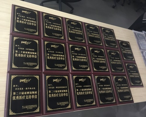 安安宠医年会,安安宠医24h点点宠物医院