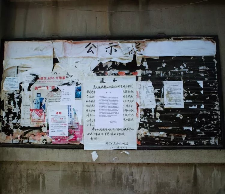 成都冷知识100例,成都冷知识20条