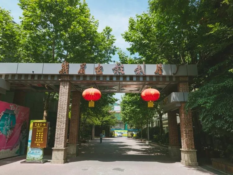 成都冷知识100例,成都冷知识20条