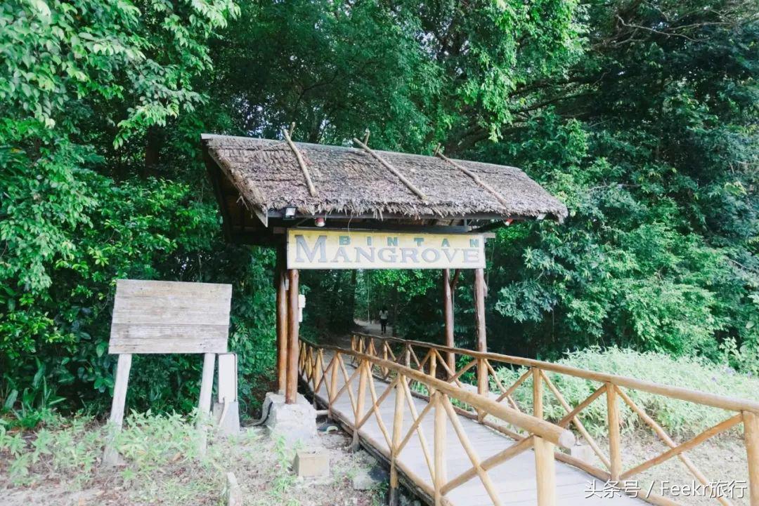 最新海岛打卡之旅,自由行可去的小众海岛