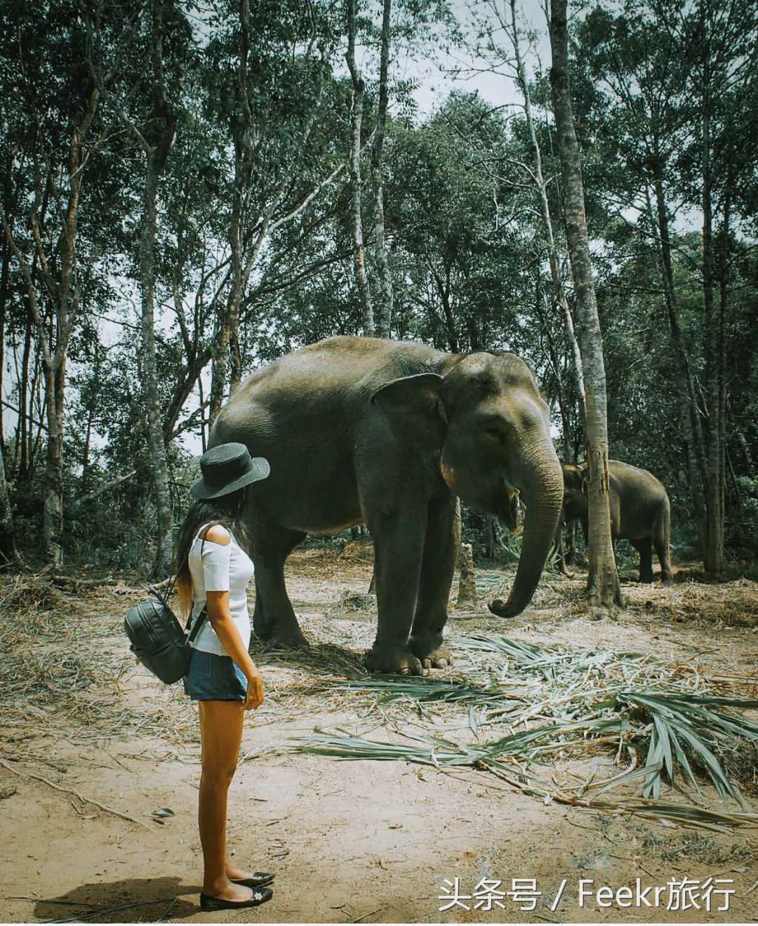 最新海岛打卡之旅,自由行可去的小众海岛